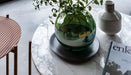 Small Round Coffee Table Frame With Marble Top-Cheshire Furniture Outlet