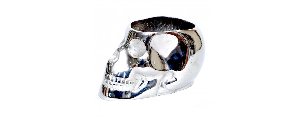Silver Skull-Cheshire Furniture Outlet