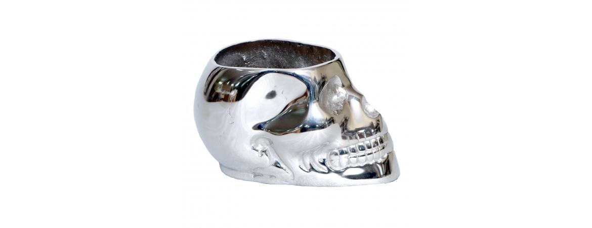 Silver Skull-Cheshire Furniture Outlet