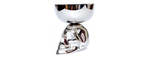 Skull with Bowl-Cheshire Furniture Outlet