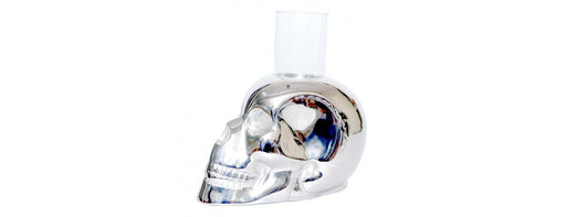 Skull with Glass Candle Holder-Cheshire Furniture Outlet