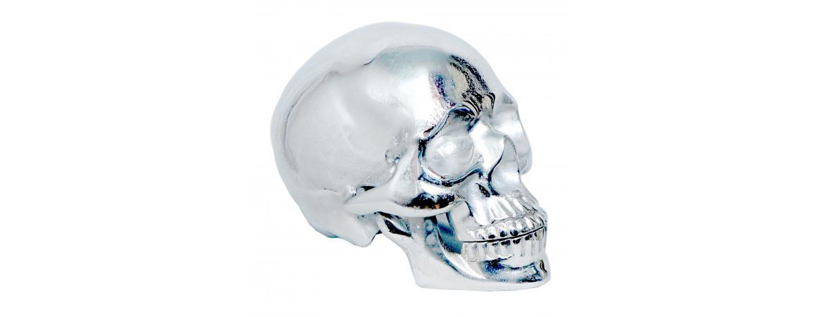 Giant Silver Skull H30cm W50cm-Cheshire Furniture Outlet