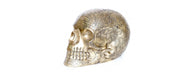 Giant Antique Brass Skull H30cm W50-Cheshire Furniture Outlet