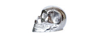 Silver Skull H48-Cheshire Furniture Outlet
