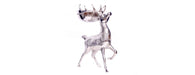 Deer with Bowl-Cheshire Furniture Outlet