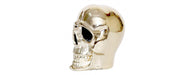 Gold Skull H18cm-Cheshire Furniture Outlet