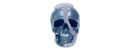 Black Skull with Pearl Detail H20cm-Cheshire Furniture Outlet