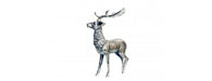 Deer H68cm-Cheshire Furniture Outlet