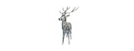 Deer H80cm-Cheshire Furniture Outlet