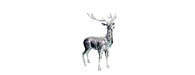 Deer H80cm-Cheshire Furniture Outlet
