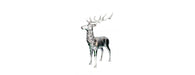 Deer H145cm-Cheshire Furniture Outlet