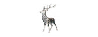 Deer H145cm-Cheshire Furniture Outlet