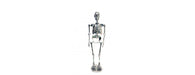 Skeleton H120cm-Cheshire Furniture Outlet