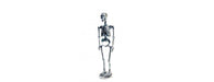 Skeleton H120cm-Cheshire Furniture Outlet