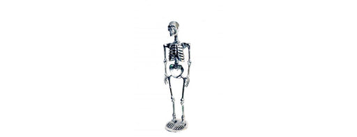 Skeleton H120cm-Cheshire Furniture Outlet