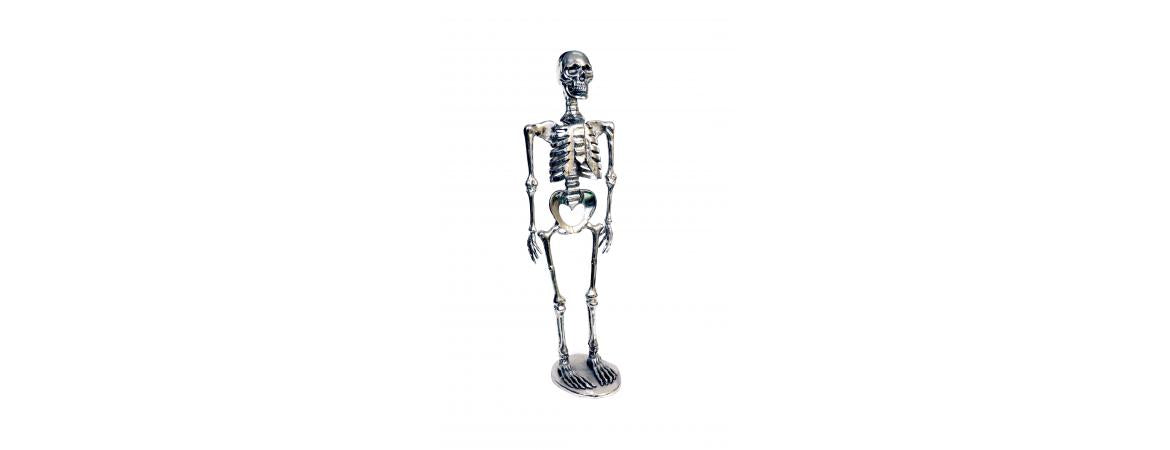 Skeleton H120cm-Cheshire Furniture Outlet