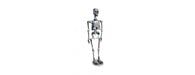 Skeleton H120cm-Cheshire Furniture Outlet