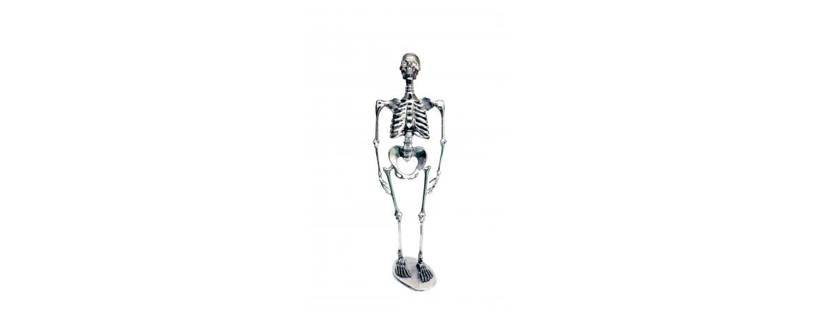 Skeleton H155cm-Cheshire Furniture Outlet