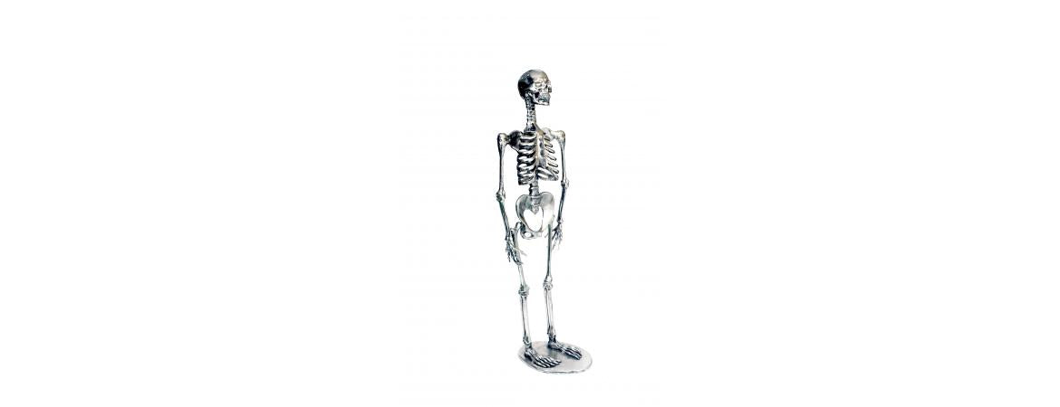 Skeleton H155cm-Cheshire Furniture Outlet