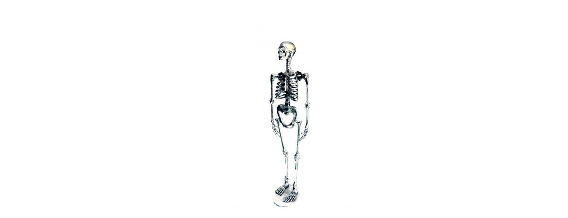 Skeleton H155cm-Cheshire Furniture Outlet