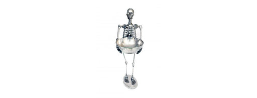 Skeleton with Bowl H155cm-Cheshire Furniture Outlet