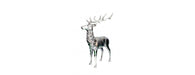 Deer H148cm-Cheshire Furniture Outlet