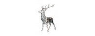Deer H148cm-Cheshire Furniture Outlet