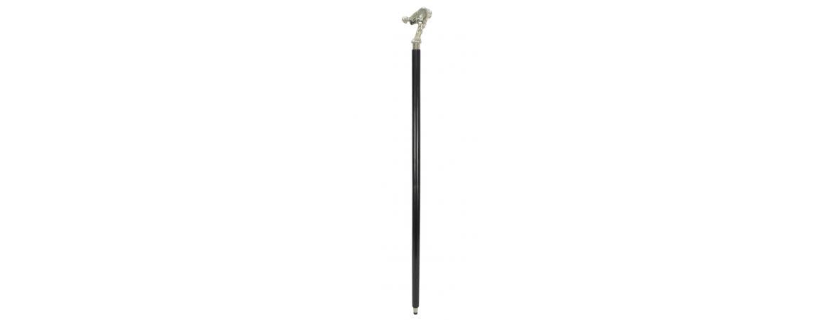 Walking Stick RR-Cheshire Furniture Outlet