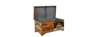 Hand Painted Vintage Transport Storage Chest-Cheshire Furniture Outlet