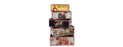 Set of 5 Shellfish Nesting Boxes -Garden-Cheshire Furniture Outlet