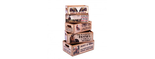 Set of 5 Shellfish Nesting Boxes - Horses-Cheshire Furniture Outlet
