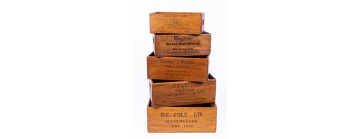 Set of 5 Shellfish Nesting Boxes - R.C Cole-Cheshire Furniture Outlet