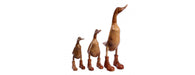 Set of 3 Ducks - Boots with Laces-Cheshire Furniture Outlet