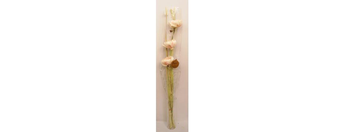 Sola Kuri Pink Rose-Cheshire Furniture Outlet