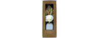 Diffuser - Fresh Grass with Sola wood Juhi Flower-Cheshire Furniture Outlet