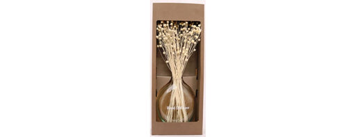 Diffuser - Cotton-Cheshire Furniture Outlet