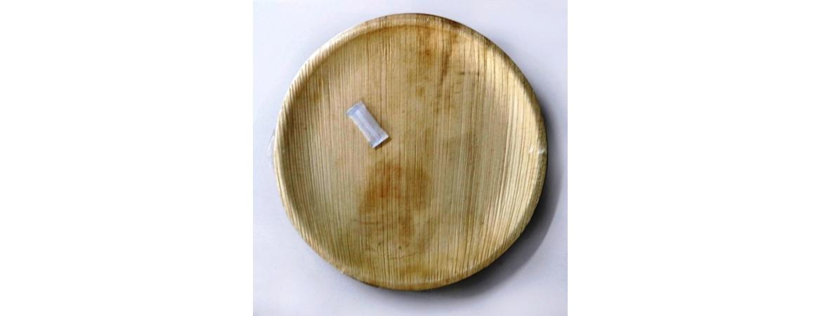 Areca Leaf Biodegradable Plates Set of 6 10 inch-Cheshire Furniture Outlet