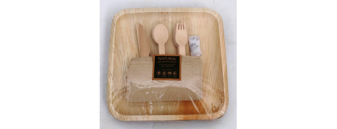 Areca Leaf Biodegradable Party Pack 10 inch Plates-Cheshire Furniture Outlet