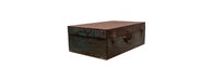 Iron Trunk-Cheshire Furniture Outlet