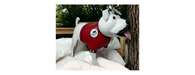 Iron Bull Dog-Cheshire Furniture Outlet